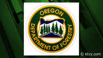 Oregon Department of Forestry awards $725,000 to 8 forest collaboratives - KTVZ
