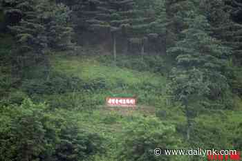 Many N. Korean forest rangers are abusing their authority to obtain bribes - Daily NK - DailyNK