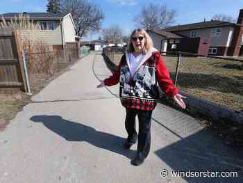 Forest Glade residents worried about maintenance on park access catwalk - Windsor Star