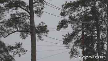 Forest Acres city council approves match funding to bury power lines at Crayton Middle School - WLTX.com