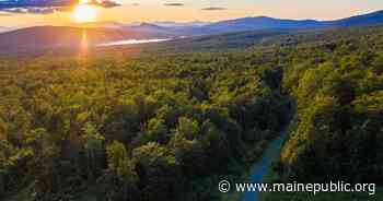 Grafton Forest Conservation Project will protect 21000 acres in western Maine - Maine Public