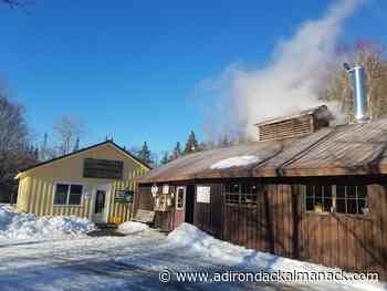 Uihlein Maple Research Forest named Bird-Friendly Maple Syrup Producer - Adirondack Almanack