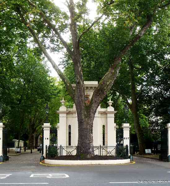 Oligarchs – Londongrad under siege