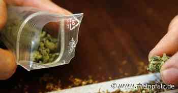 Prozesse: Kiloweise Koks, tonnenweise Marihuana - Mannheim - DIE RHEINPFALZ - Rheinpfalz.de