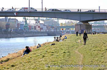 Das ist die Sieger-Idee für ein besseres Mannheim - 75-Jahre-MM - Mannheimer Morgen