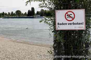 Klage gegen Badeverbot am Mannheimer Strandbad zurückgezogen - Mannheim - Nachrichten und Informationen - Mannheimer Morgen