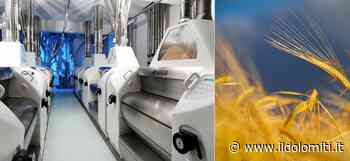 Esplosione dei costi energetici, i molitori: ''Siamo stremati, il fermo produttivo degli impianti si potrebbe allargare perché la situazione non è più sostenibile'' - il Dolomiti