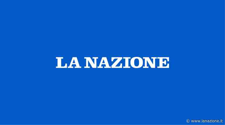 Basket Serie A Una Scotti generosa non può nulla con Schio - LA NAZIONE