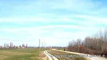 Verde, l'assessore: «Modena, in arrivo 700 ettari di boschi nell'area urbana» - La Gazzetta di Modena