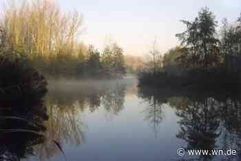 Wienburgpark wird ökologisch aufgewertet