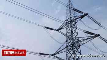 Thousands lose power in Chorley after goose flies into lines