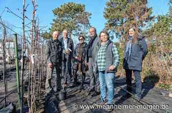 Heidelberg verschenkt 1000 Obststämme - Heidelberg - Nachrichten und Informationen - Mannheimer Morgen