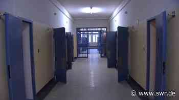 Fauler Pelz: Stadt Heidelberg will Land Arbeiten untersagen - SWR Aktuell