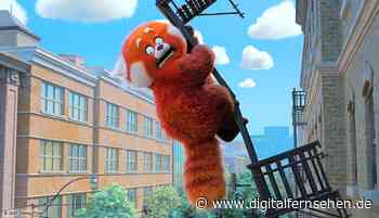 Pixar-Film "Rot" startet heute bei Disney+ - Digitalfernsehen.de