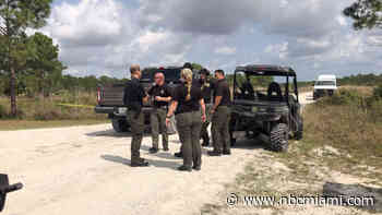 Divers Search Florida Park After Human Remains Found in Gator's Mouth