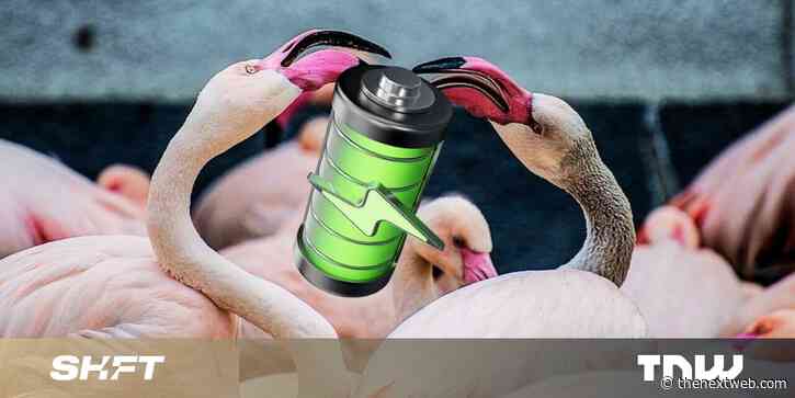 Mining lithium for EV batteries is decimating flamingos