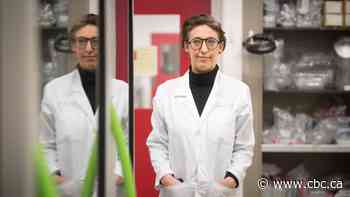 2 years into the pandemic, burning questions remain about COVID-19 — and how we fight it