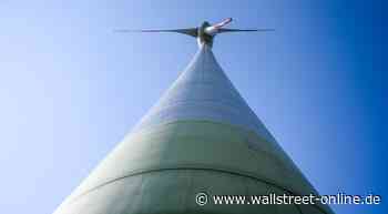 Grünes Investment: Fünf Tipps: Welche Aktien sagen dem Klimawandel den Kampf an?