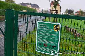 Hund in Mittweida totgebissen: Liegt die Schuld bei einem Loch im Zaun? - freiepresse.de