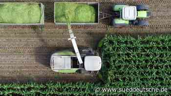 Agrar - Steigende Futterpreise: Bauern dürfen mehr Flächen nutzen - Wirtschaft - Süddeutsche Zeitung - SZ.de