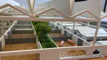 Agrar - Bad Sassendorf - Spatenstich für "Schweinestall der Zukunft" in NRW - Wirtschaft - Süddeutsche Zeitung - SZ.de