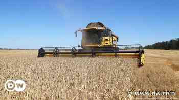 Kornkammer und Zulieferer: Die Wirtschaft der Ukraine - DW (Deutsch)