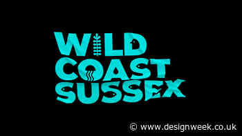 The identity for Wild Coast Sussex draws on the diversity of local marine life