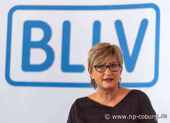 Bildungswesen - Lehrer warnen vor hohen Erwartungen bei Flüchtlingsaufnahme - Neue Presse Coburg