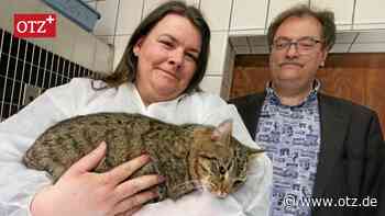 Tierheim Eisenberg wieder in Betrieb