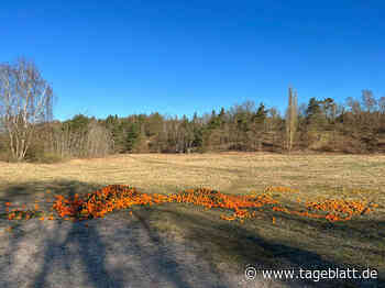 Umweltfrevel in Dollern: Unbekannte entsorgen kiloweise verdorbene Orangen - TAGEBLATT: Nachrichten aus Stade, Buxtehude und der Region - Tageblatt-online