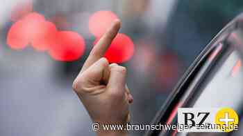 Braunschweiger Hirnforscher erklärt menschliche Gewalt