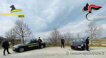 Canelli, marito e moglie macedoni arrestati per sfruttamento del lavoro in vigna - La Nuova Provincia - Asti