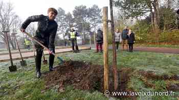 La communauté urbaine d'Arras crée un fonds de concours pour la renaturation - La Voix du Nord