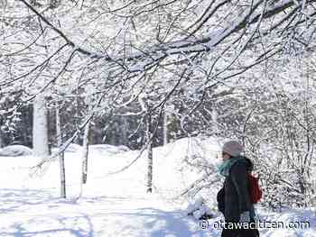 Weather: Winter travel advisory starting Friday afternoon, up to 12 cm of snow, parking ban Saturday