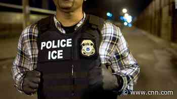 Immigration arrests in the US plunge under Biden administration, data show