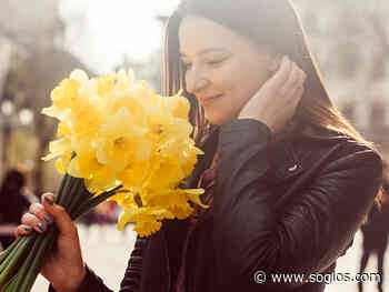 Gloucester Quays is giving away free daffodils this spring - SoGlos