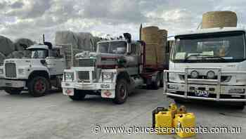 Gloucester's Peter Markey trucks donated silage to a farmers in flood-impacted Coraki - Gloucester Advocate