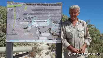 Migratory birds disturbed with Geraldton beach left open to the public - The West Australian