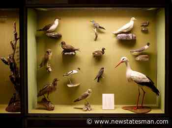 Neil MacGregor's modern museums - The New Statesman