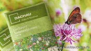 Stadt Dachau startet Künstlerwettbewerb. - Dachau - SZ.de - Süddeutsche Zeitung - SZ.de