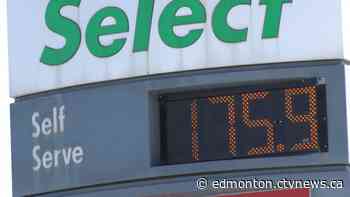 Edmonton fuel prices expected to climb more despite oil price drop - CTV News Edmonton
