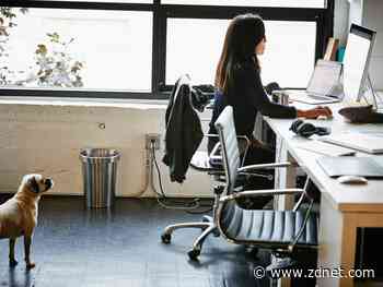 Office chairs vs. gaming chairs: Does it really matter?