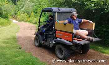 New summer students must be vaccinated to work in Port Colborne - Niagara This Week