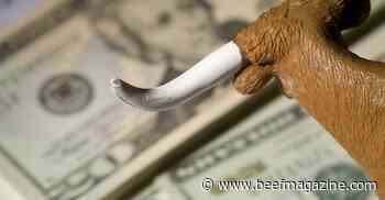 Cattle contract library pilot in spending bill