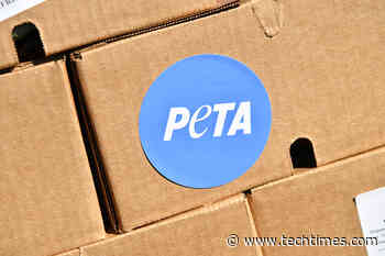 PETA Leaps Into Augmented Reality With Blatant Discoveries on Animal Cruelty - Tech Times