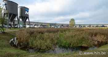 Vrouw bestolen tijdens winkelen in Malinas | Mechelen | hln.be - Het Laatste Nieuws