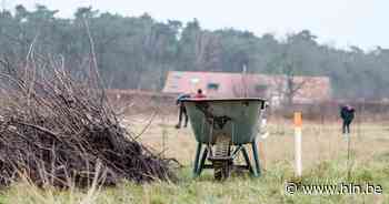 Nieuwe bomenrij voor Bornstraat | Herentals | hln.be - Het Laatste Nieuws