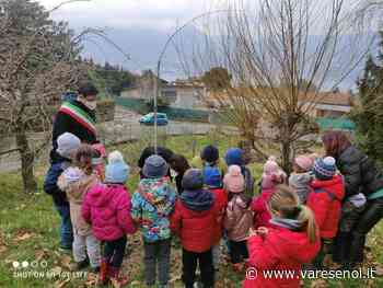 Germignaga, il sindaco e i bambini della materna piantano quattro ulivi - VareseNoi.it