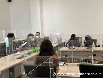 Reddito di Cittadinanza progetto a Manduria: “CURA DEGLI ANIMALI” • La Voce di Maruggio - La Voce di Maruggio