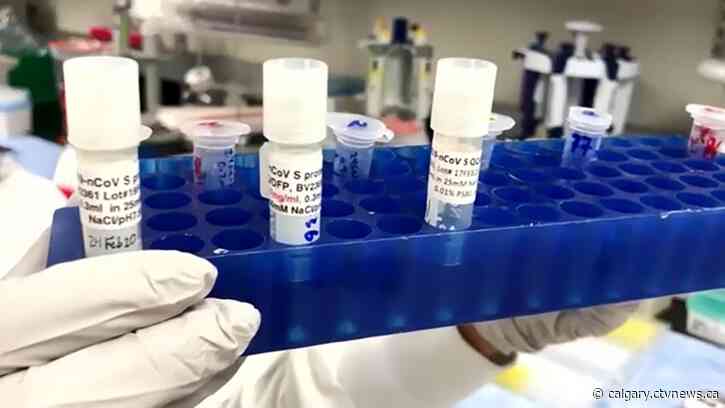 2 years and more than 4,000 deaths: the past and future of COVID-19 in Alberta